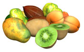 Enzymes from Fruit