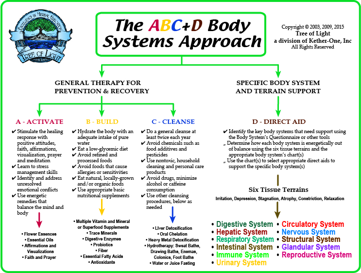 body systems chart