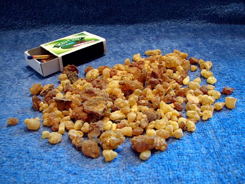 Frankincense tears from Wikipedia Frankincense tears from Wikipedia