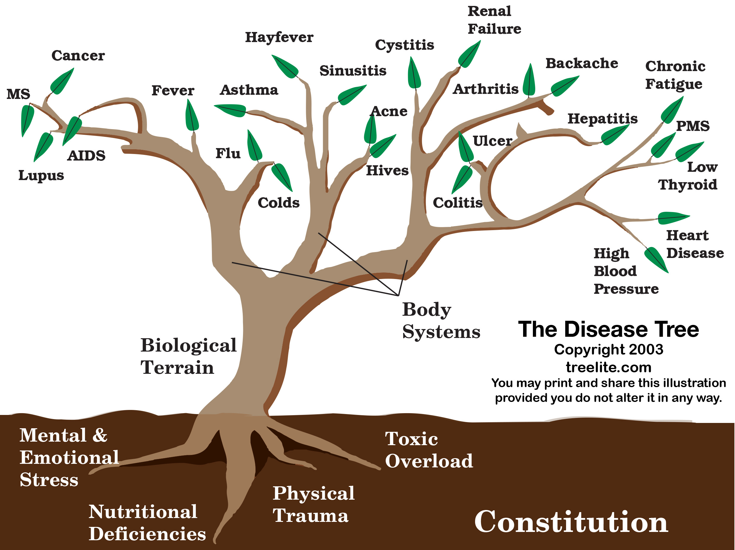 The Disease Tree™