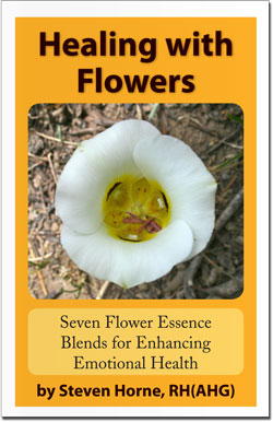 Tree of Light : Education for Nature's Sunshine Managers and Distributors