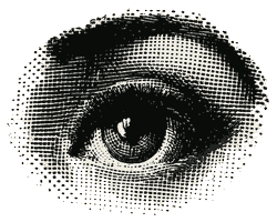 Iris Analysis Software