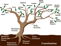 The Disease Tree