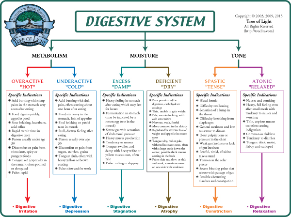 Digestion Chart