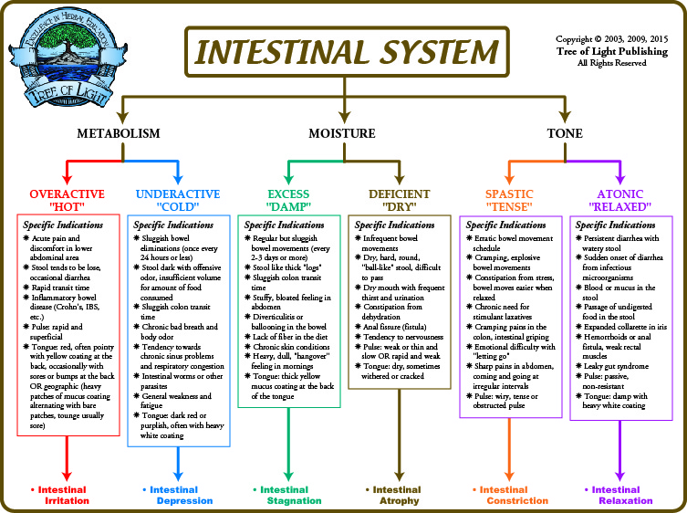 biological terrain chart for the intestinal system tongue color chart