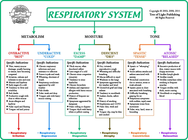 Biological Terrain Chart for the Respiratory System